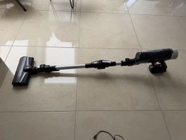 Rowenta Hand Staubsauger