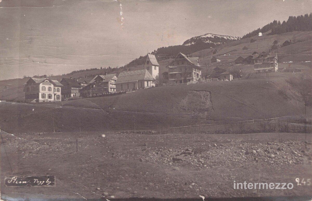 Cartoline postali: Stein SG // 1917 Dorf Toggenburg – Usato da Basel venduto da intermezzo12