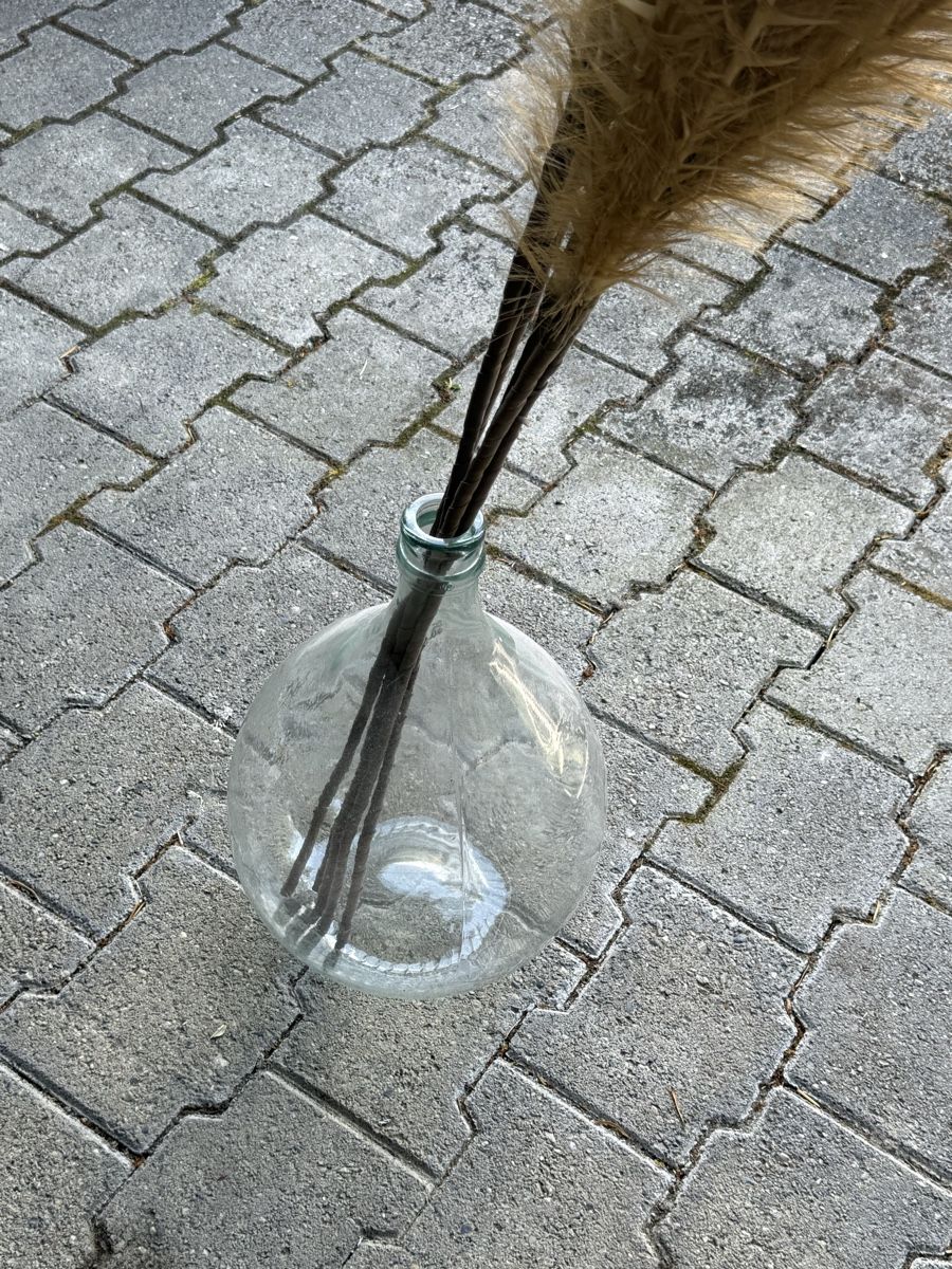 Tutte le decorazioni: Bouteille et Plumeaux décoratifs – Usato da Nyon venduto da tha_5zkc