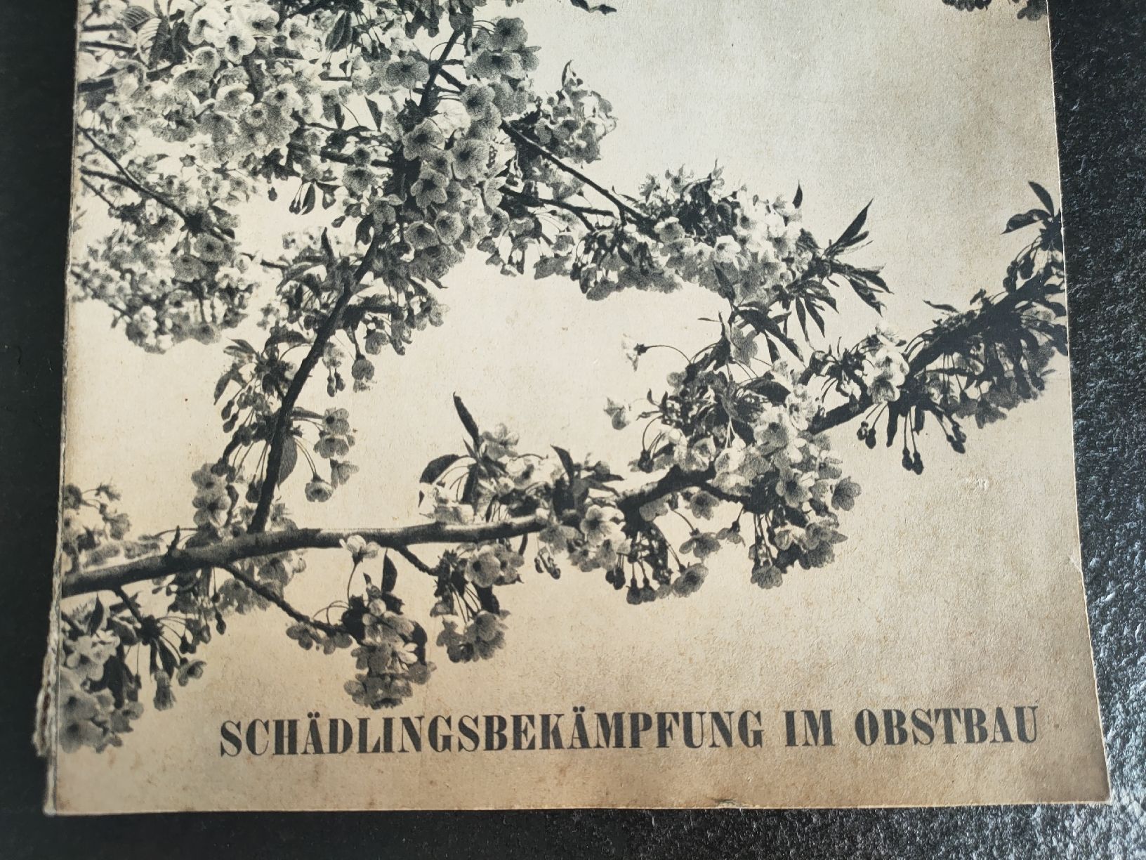 Libri: Seltenes Buch: Schädlingsbekämpfung im Obstbau, antik 1940 – Usato da Gipf-Oberfrick venduto da minini 1