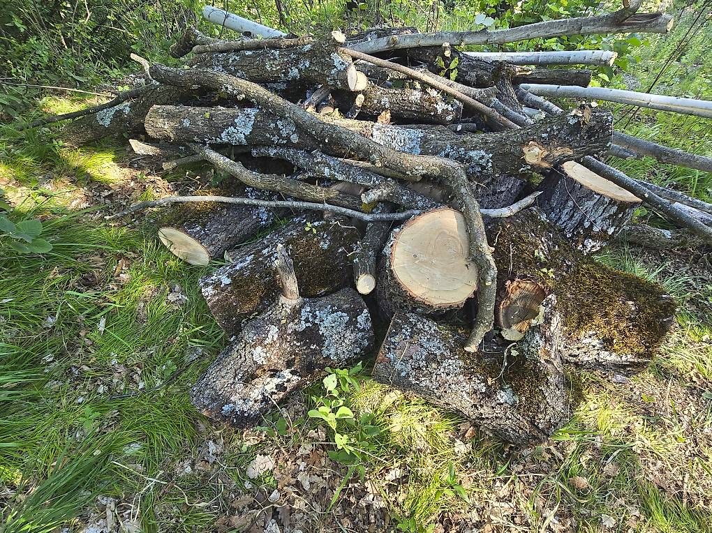 Articoli in legno: Bois de chauffage – Usato da Savièse venduto da Laguinee 3