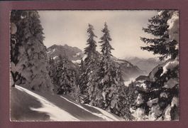 HASLIBERG - Skigebiet ob Brünig