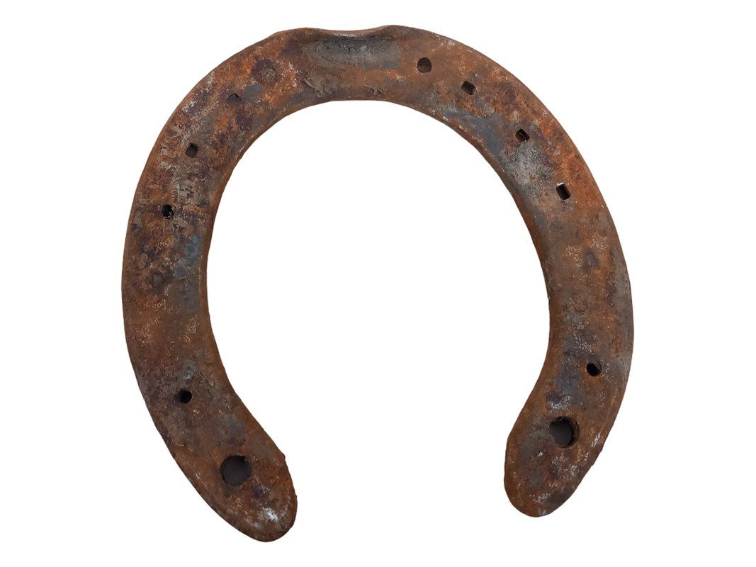 Autres accessoires pour animaux: Alte Hufeisen - 7 Stück – D'occasion à Hünenberg par Restwert_Zug 8