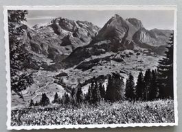 Alp Selamatt mit Säntis 2504 m u. Schafberg