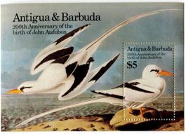 Block "Tropikvogel". Antigua und Barbuda