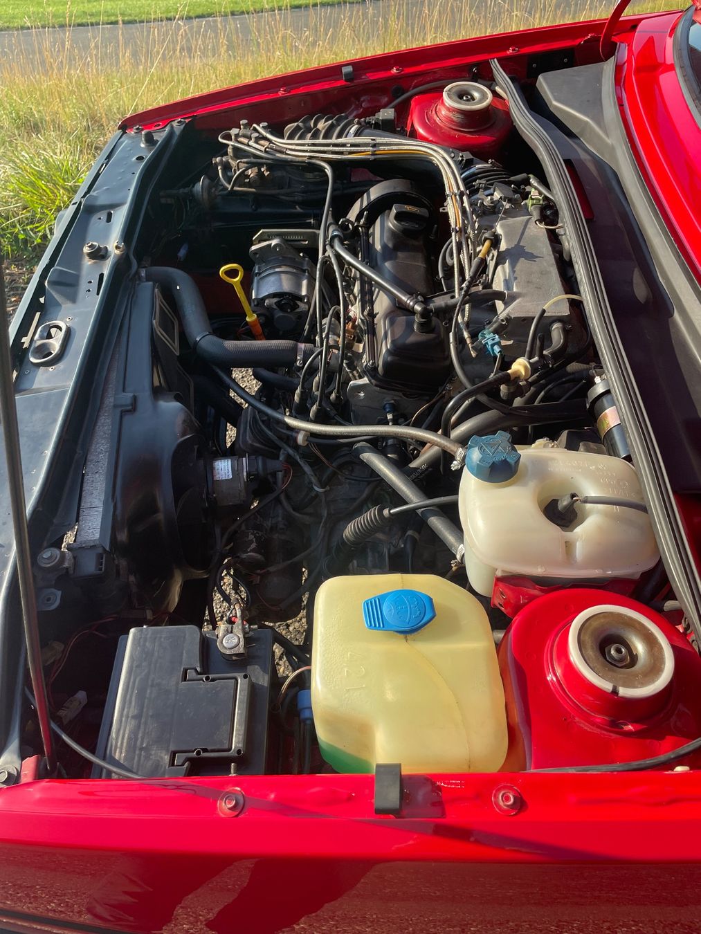 VW Automobili: VW Golf 2 GTI 1986 ab MFK 2026 – Usato da Wangen b. Olten venduto da Mertz 4