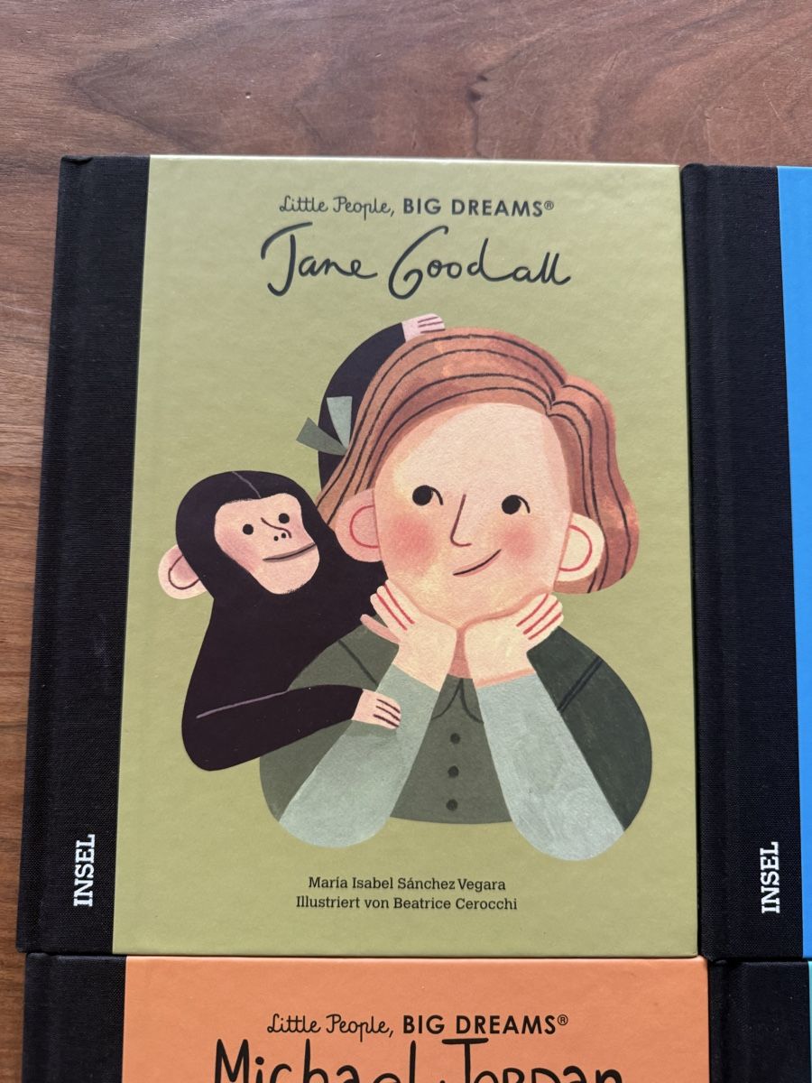 Bücher: 6 x Little People, BIG DREAMS – Gebraucht aus St. Gallen von Red-Curry 1