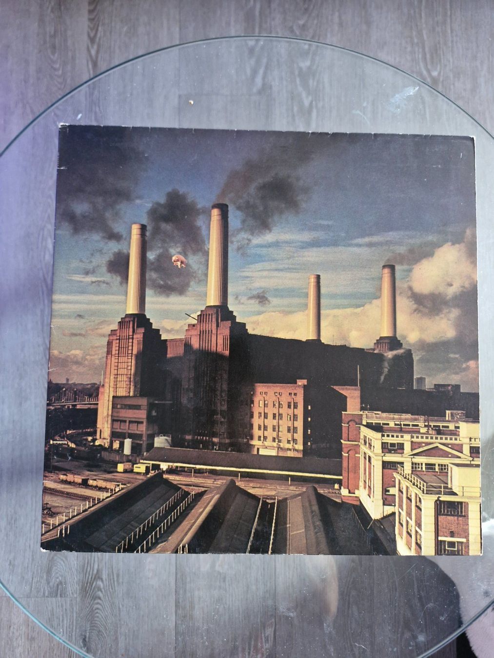 Schallplatten: LP - Pink Floyd - Animals - Vinyl – Gebraucht aus Aadorf von MediaGuru