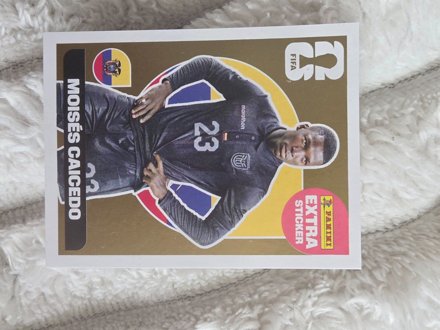 Panini Carte collezionabili: Panini Extra Sticker WM 2026 – Nuovo (secondo la descrizione) da Urdorf venduto da Ferjani54