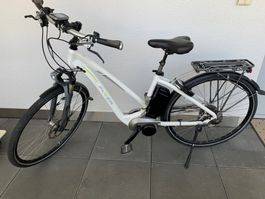 E-Bike Flyer Next Generation 36Volt klein