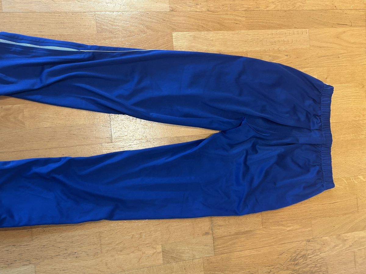 Lacoste Pantaloni: Trainingshose Lacoste Blau – Usato da rodersdorf venduto da ced_sk6j 1
