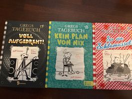 Gregs Tagebuch 17, 18, 19 Comic Roman Zustand gut
