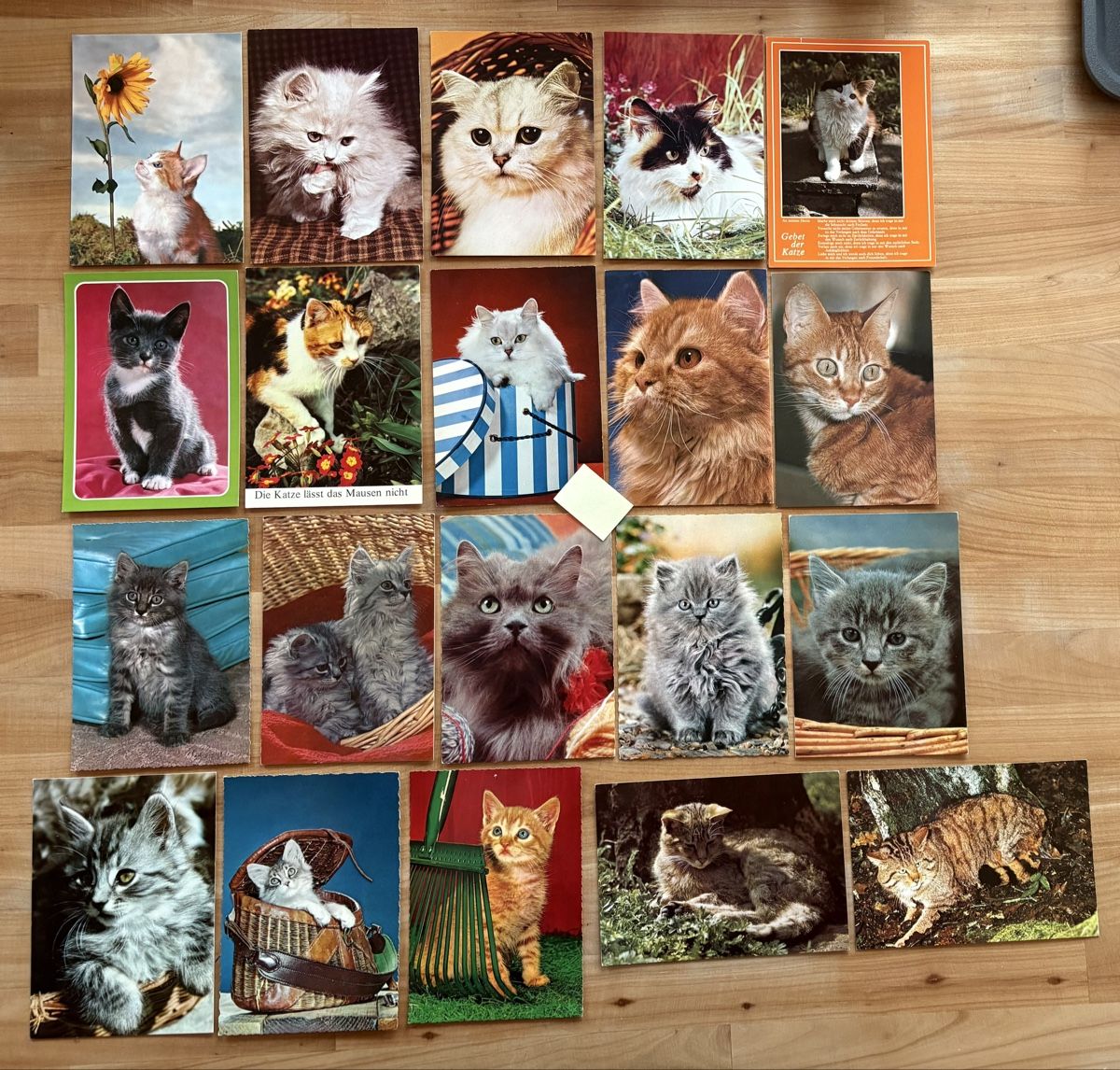 Cartoline postali: 20 AK mit Katzen Motiv – Usato da Rümlang venduto da Kartenpost1