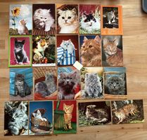 20 AK mit Katzen Motiv