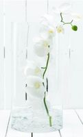 Blumenvase Glas - ca. 25 cm hoch