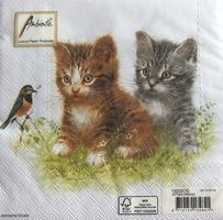 Serviette kitten friend (t326) 2Stk.