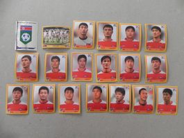 Panini Fussball WM Südafrika 2010 Korea 19 Stück Komplett !