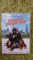 Juniors freier Tag