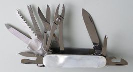 ⚠️ Victorinox SwissChamp Perlmutt MOTHER OF PEARL 1.6791.68