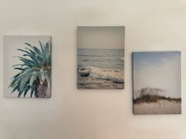 Canvas Print Set Beach Palm Trees 5 pcs 26x35cm 42x60cm