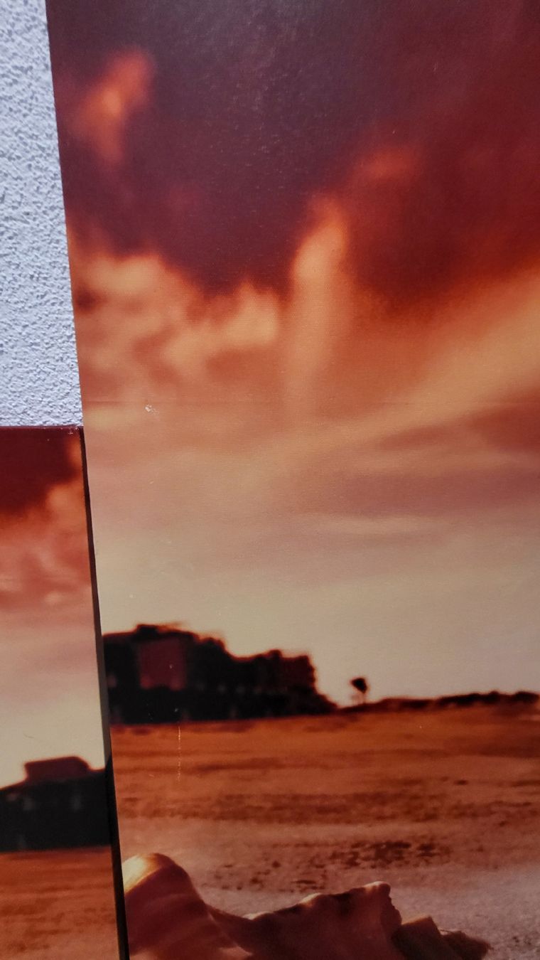 Foto & Immagini: 5-teiliges Wandbild "Muschel" – Usato da Richenthal venduto da NicMe 1