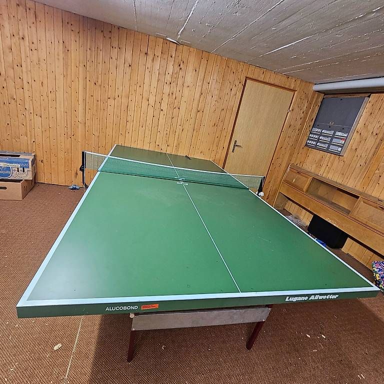 Tennis de table: Pingpong Tisch Allwetter – D'occasion à Stetten AG par Wurzel010 2