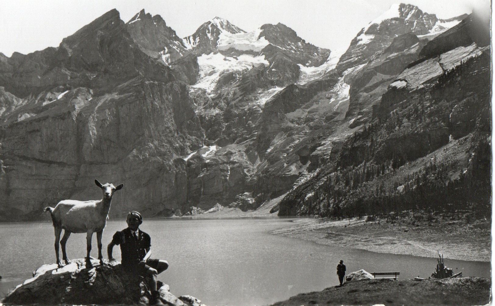 Cartoline postali: Oeschinensee - Blümlisalp – Nuovo (secondo la descrizione) da Melano venduto da pisonsdro