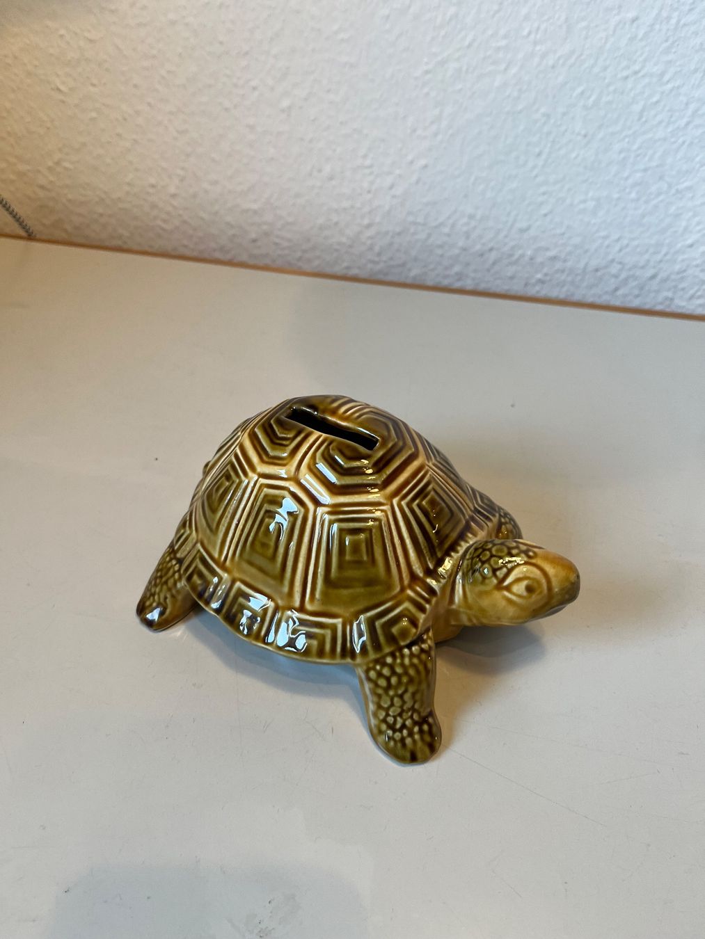 Salvadanai: Schildkröte (Sparsäuli) – Usato da Kilchberg ZH venduto da hisli 1