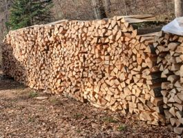 Brennholz