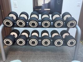Hantelständer Technogym mit 12 Hanteln  30 bis 40 kg