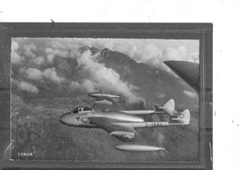 Militär-Flugzeug Venom / Schweizer Flugwaffe