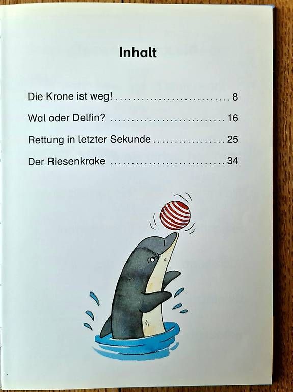 Libri: Erstleser-Buch mit Delphingeschichten – Usato da Muri b. Bern venduto da SPF01 2