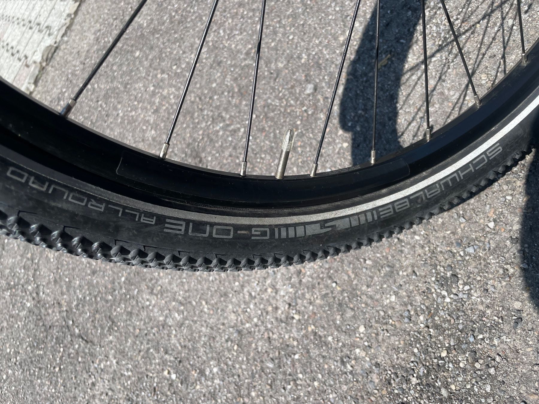 Diamant Biciclette: MTB Diamant – Usato da Oberdiessbach venduto da Daenufrey 6