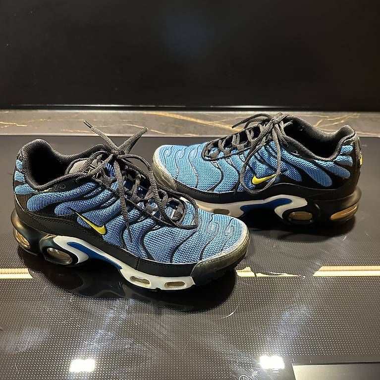 Nike Herrenschuhe: Nike TN Air Max plus état neuve P. 39 – Neu (gemäss Beschreibung) aus La Chaux-de-fonds von ccjp