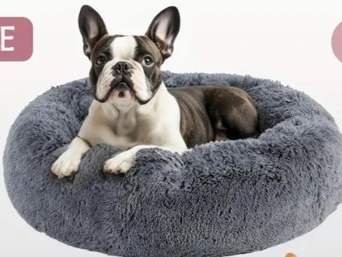 Cucce & Letti: Hundebett,Hundecouch,Katzenbett Grau oder Hellgrau 50cm ⌀ – Nuovo e nell'imballaggio originale da Rorschach venduto da Mr_fairprice 1