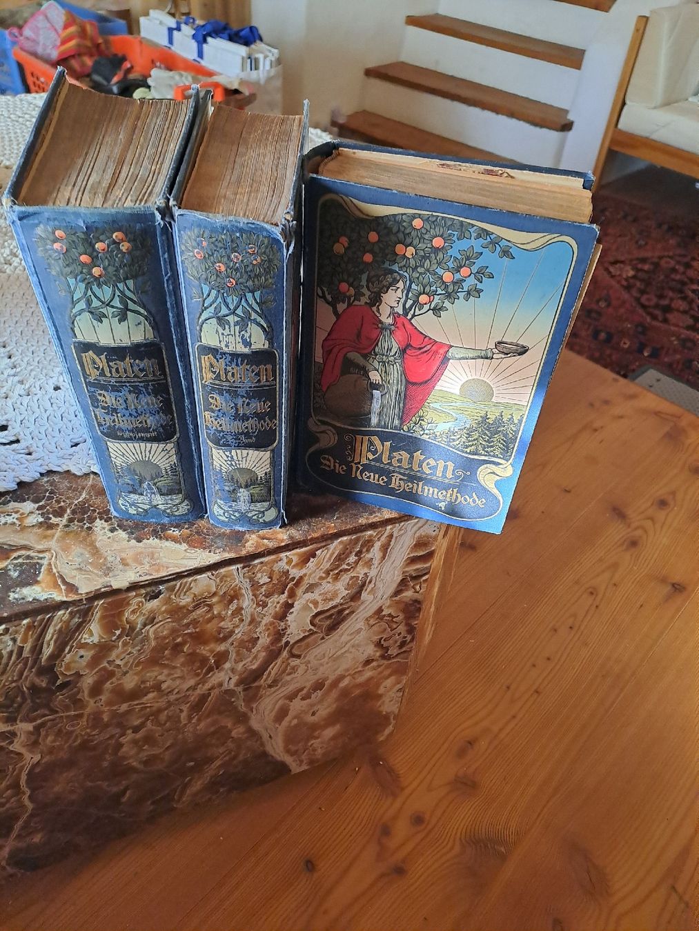 Libri: platen 3 heilbücher – Usato da Ardez venduto da hui_kkb6