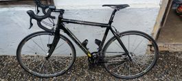 Scott Carbon Rennvelo 56cm