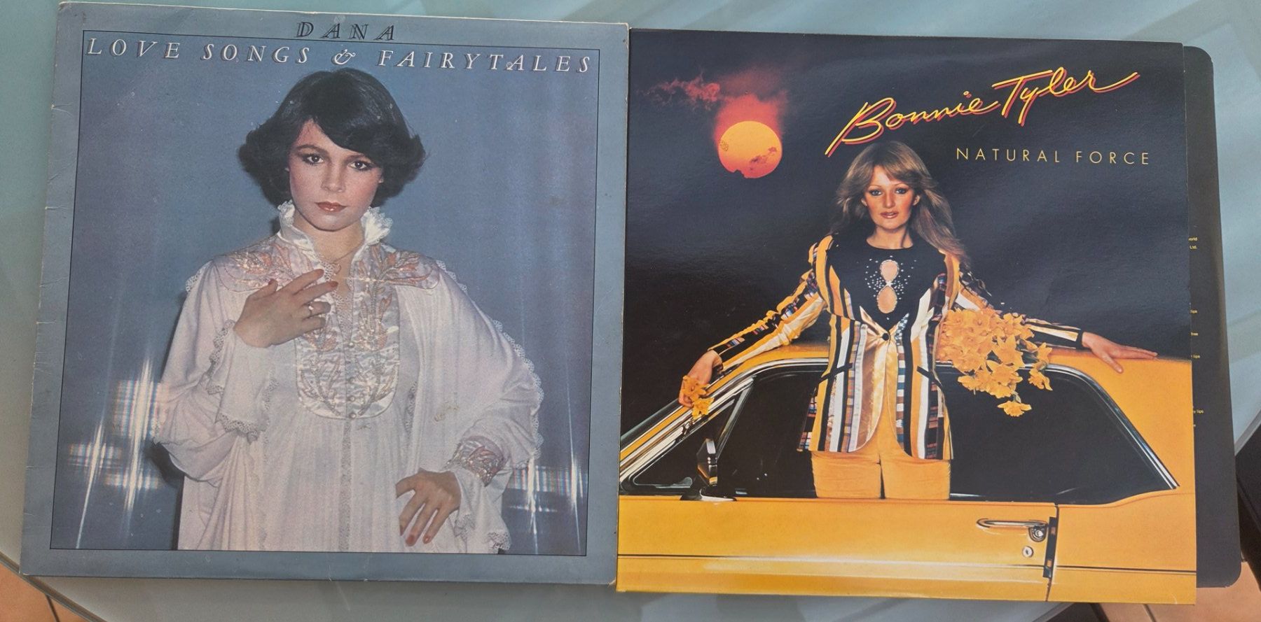 Schallplatten: Dana & Bonnie Tyler - 2 Schallplatten! – Gebraucht aus Pratteln von Barfuss999