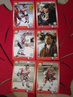 EHC CHUR EISHOCKEY SAMMELKARTE SAISON 1993/94 ANTIK