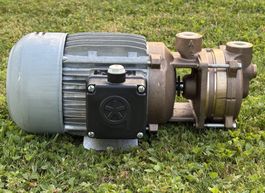 Brinkmann Pumpe B501L-50X 0.85 kW neuwertig
