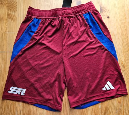 Servette FC Genf Genève Hosen Shorts adidas NEU Gr. 164 SFC