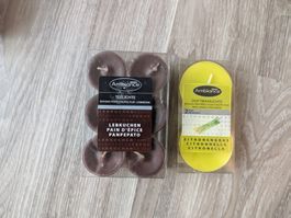 Kerzen | Duftkerzen 12x Lebkuchen und 2x Zitronengras