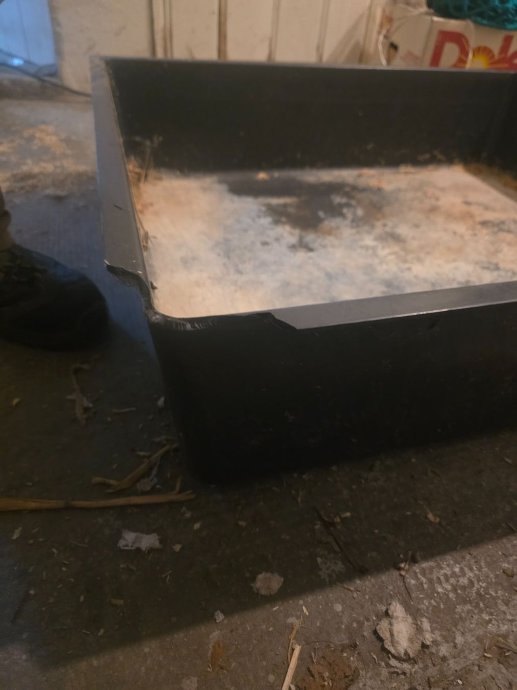 Gabbie, trasporto & Sicurezza: Kaninchen schubladen – Usato da Biberist venduto da lea_77s7 1