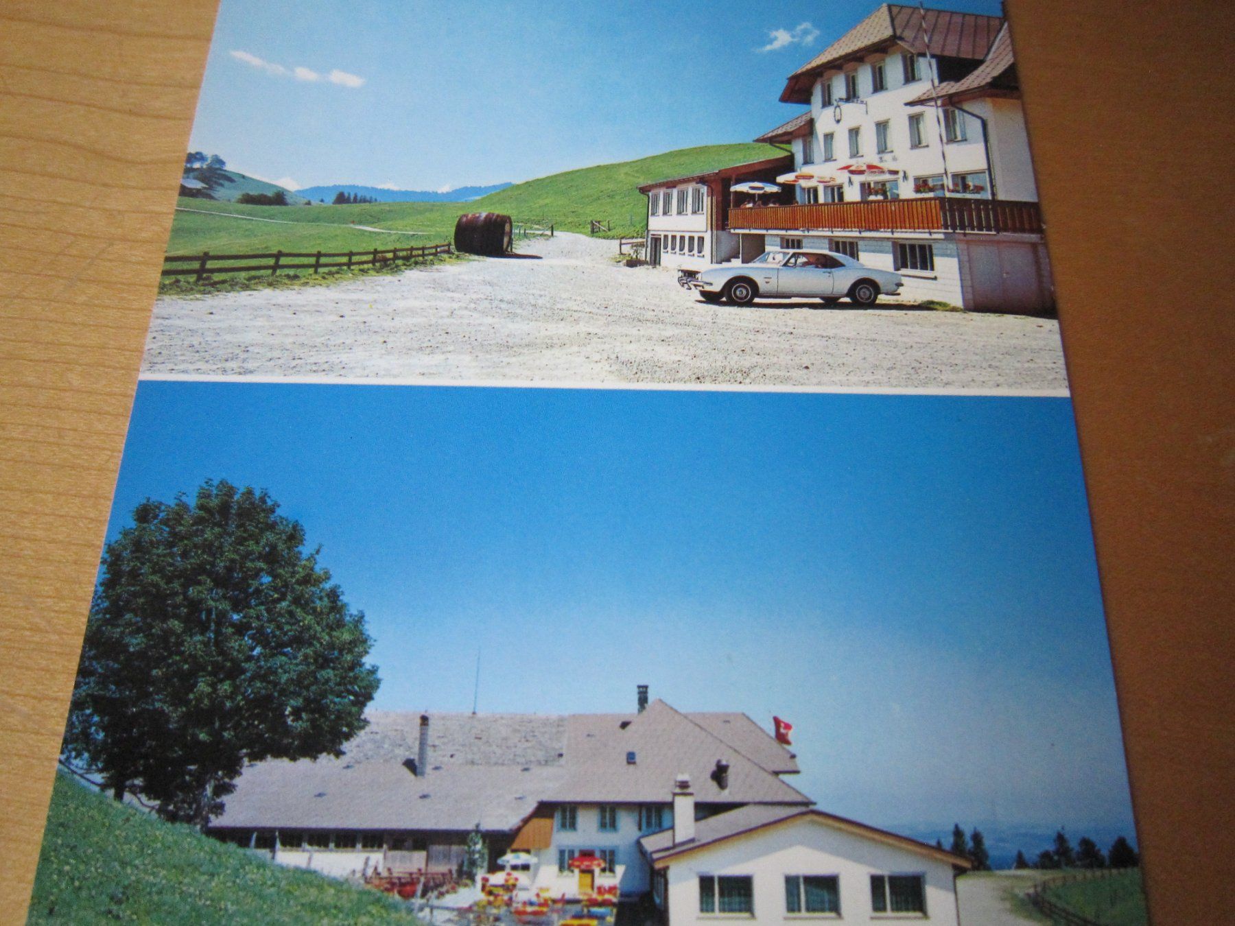 Cartoline postali: Schöne Postkarte AHORN ALP AB NUR 75 RP – Usato da Gordola venduto da Polentaefung 3