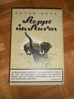 Artur Heye - Steppe im Sturm