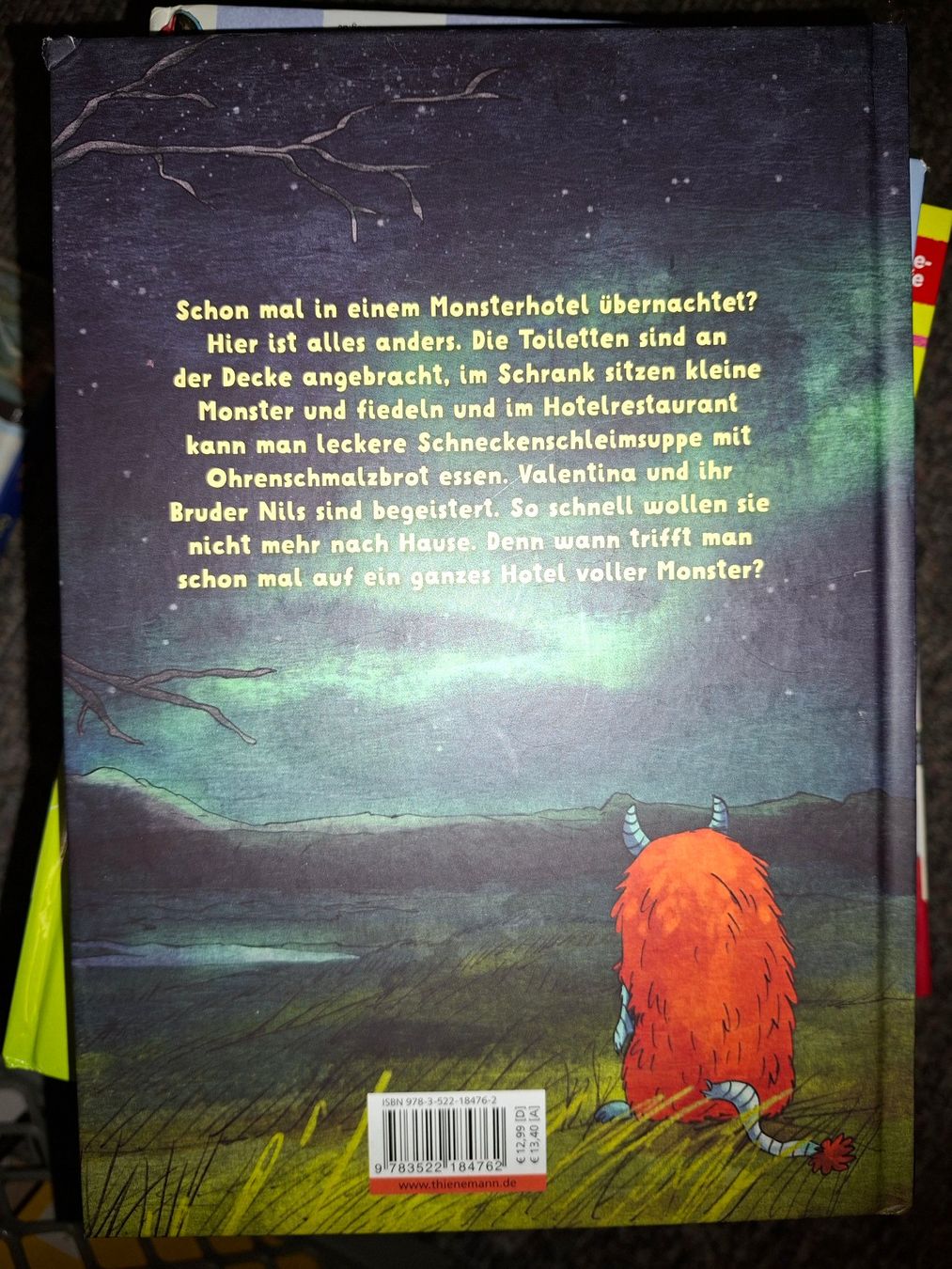 Libri: "Monsterhotel" von Thomas Montasser – Usato da Dietikon venduto da Buchantiqdietikon 1