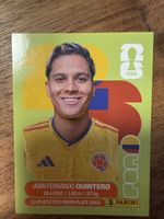 Panini Fifa COL 15