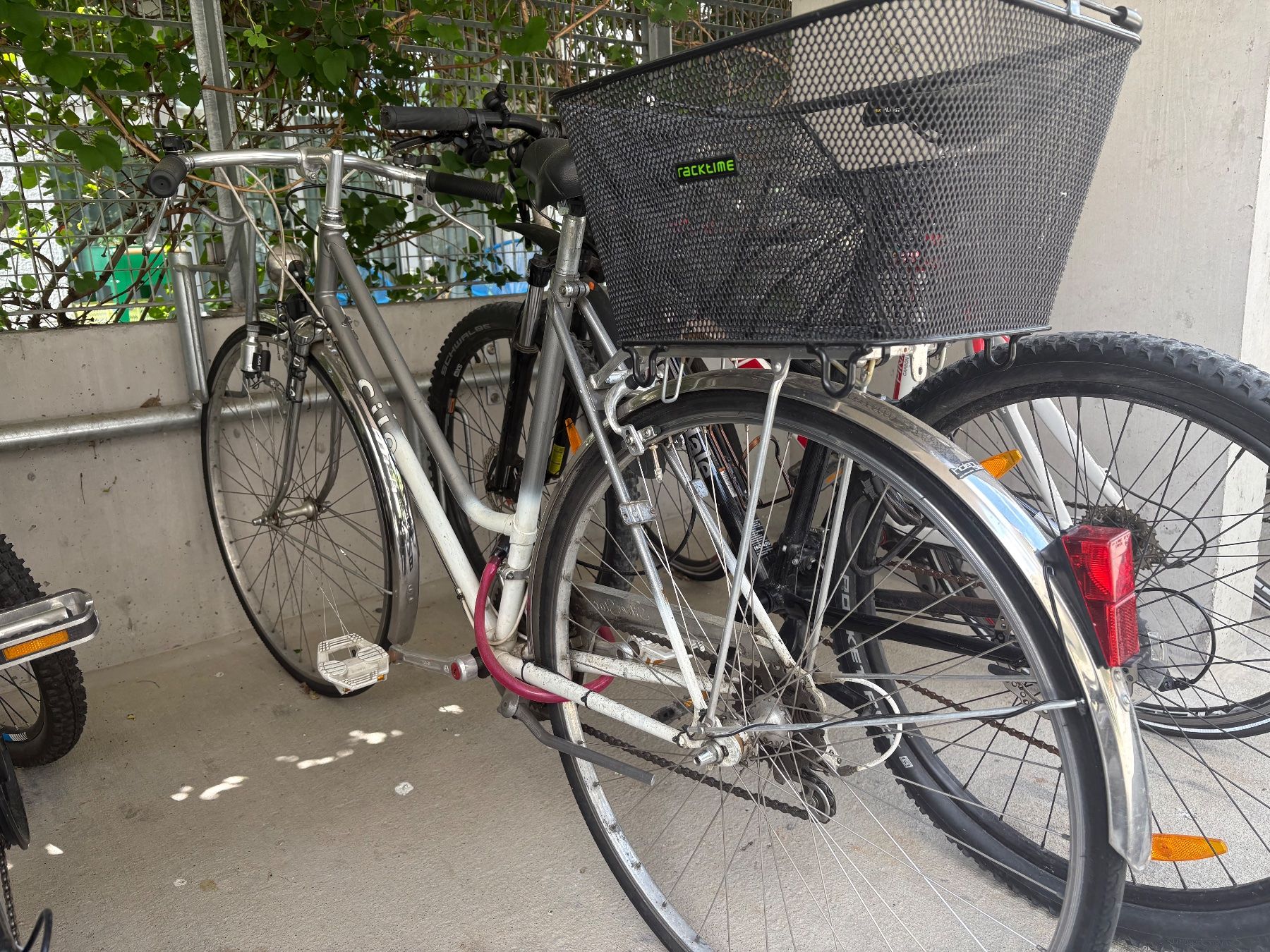 Cilo Velos: Cilo Damenfahrrad – Defekt aus Chur von _Nadine.