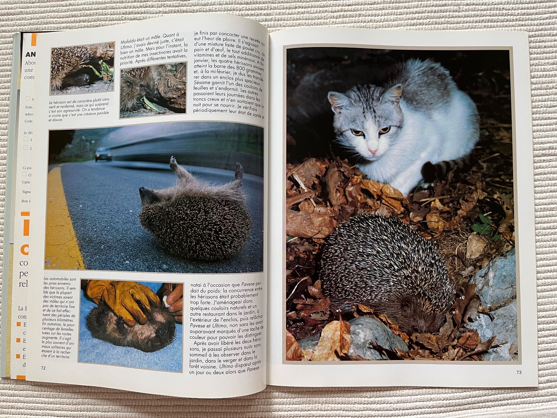 Riviste & Magazine: Animan Nr.36; Sibérie, Hérisson, Vivaldi – Usato da Zürich venduto da Gurkis 7