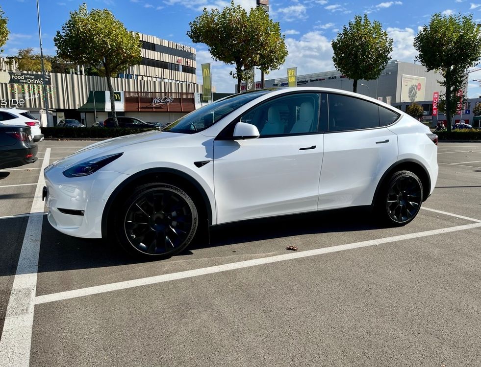 Stilvolle Model Y Kaufen Ebenbild